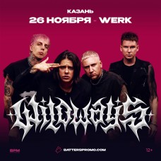 WILDWAYS  Казань 26 ноября Werk (2024-11-26)